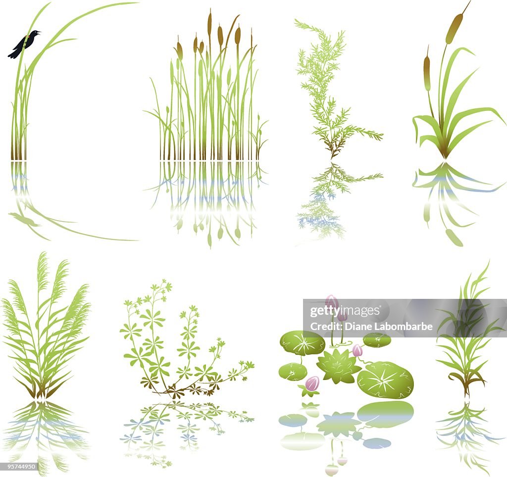 Wetlands Icons with Multiple Marsh Elements including their Shadows