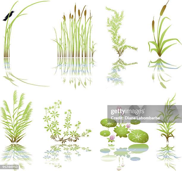 wetlands icons with multiple marsh elements including their shadows - swamp illustration stock illustrations