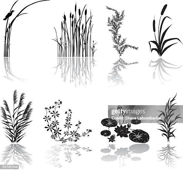 ilustraciones, imágenes clip art, dibujos animados e iconos de stock de humedales negra silueta de iconos con varios elementos y las sombras marsh - lago