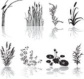 Wetlands Black Silhouette Icons with Multiple Marsh Elements and Shadows
