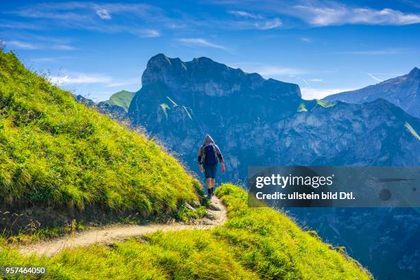 Wanderer auf dem Bergwanderweg Laufbacher Eck-Weg, ein Panoramahöhenweg vom Nebelhorn ins Oytal, hinten die Höfats, 2259m