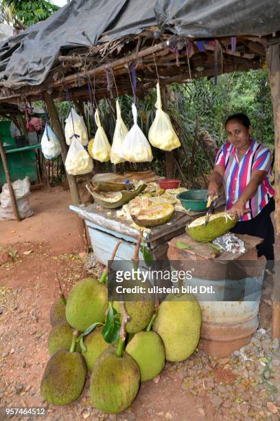 Jackfrucht, Strassenverkauf, Sri Lanka