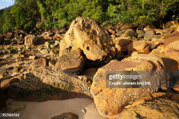 Strand mit Felsen und Regenwald an der Küste, Permai Rainforest, Santubong, Südchinesisches Meer, Sarawak, Borneo, Malaysia, Asien