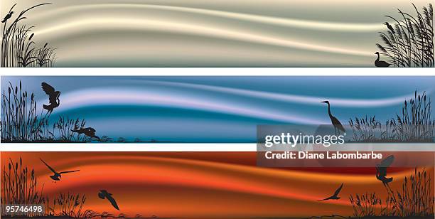 three marsh and wetlands scenes on horizonal banners - goose stock illustrations stock illustrations
