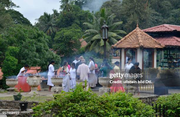 Opfer, Raeucherstaebchen, Zahntempel ´Sri Dalada Maligawa´, Kandy, Sri Lanka