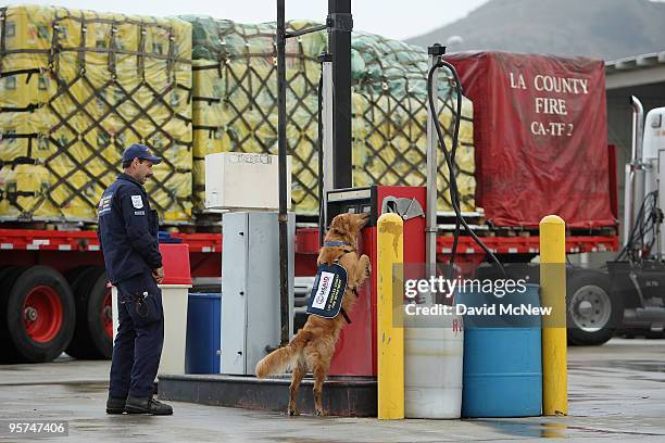 Los Angeles County Fire Department urban search and rescue dog Baxter finds a toy hidden by handler Gary Durian prior to deployment as one of several...