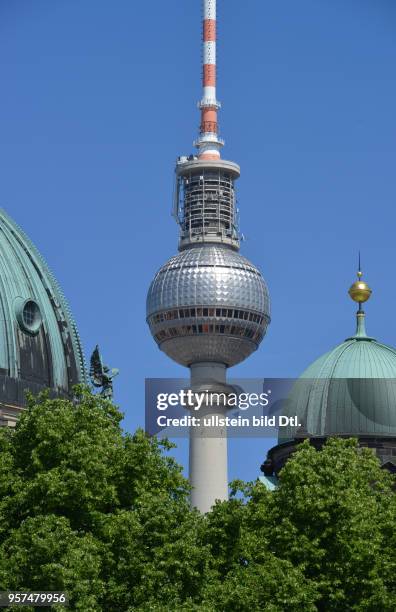 Kuppel, Berliner Dom, Fernsehturm, Lustgarten, Mitte, Berlin, Deutschland