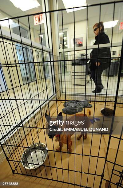635 Aspca Adoption Photos and Premium High Res Pictures - Getty Images 635 Aspca Adoption Photos and Premium High Res Pictures - Getty Images