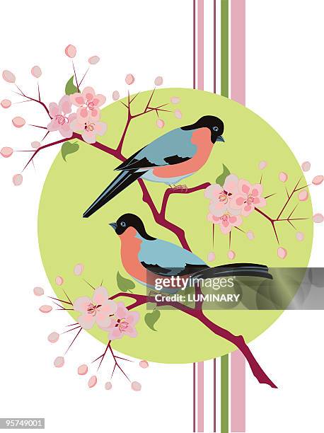 illustrations, cliparts, dessins animés et icônes de oiseaux sur un arbre succursale - arbre cerisier japonais vectoriel