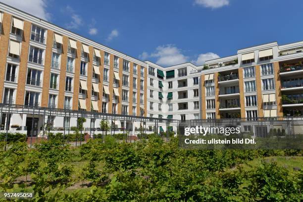 Neubau, Viktoria-Quartier, Alte Brauerei, Kreuzberg, Berlin, Deutschland