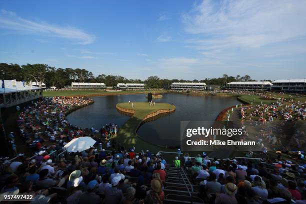 Sawgrass hi-res stock photography and images - Alamy