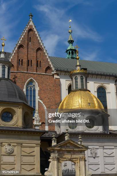 Vasa-Kapelle, Sigismund-Kapelle, Wawel-Kathedrale, Wawel, Krakau, Polen