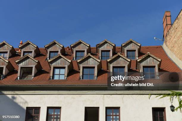 Dachausbau, Altbau, Grosse Ulrichstrasse, Halle an der Saale, Sachsen-Anhalt, Deutschland