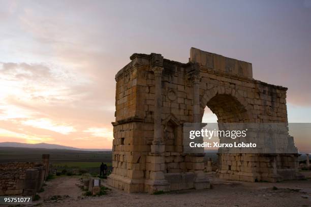 fes - volubilis stock pictures, royalty-free photos & images