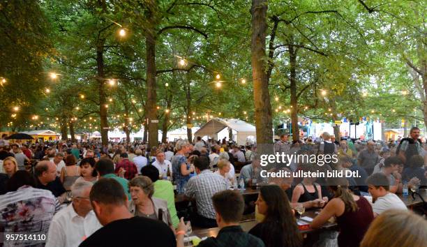 Besucher, Weinfest, Volkach, Bayern, Deutschland