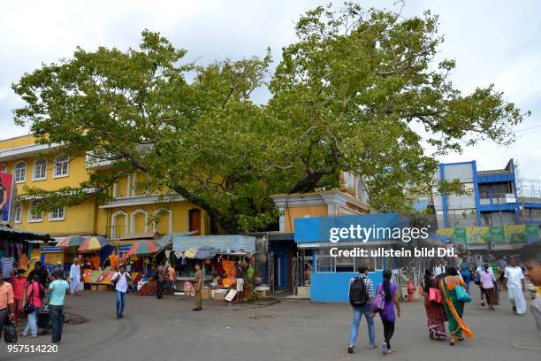 Bodhiraya Tempel, Cross Street, Pettah, Colombo, Sri Lanka