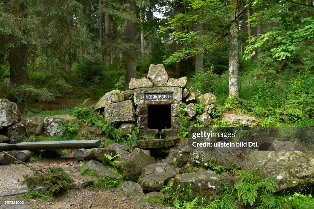 Weißmainquelle Fichtelgebirge Oberfranken Bayern Deutschland