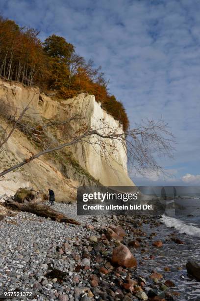 Wissower Klinken, Wissower Ufer, Kreidefelsen, Jasmund, Ruegen, Mecklenburg-Vorpommern, Deutschland