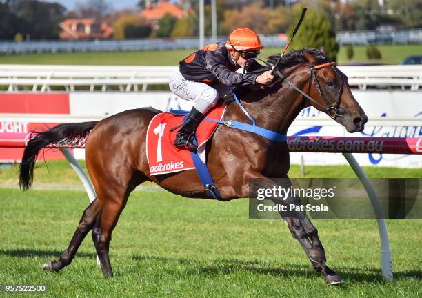 Rock Hard ridden by Chris Caserta wins the Ladbrokes Back Yourself Plate at Caulfield Racecourse on May 12, 2018 in Caulfield, Australia.