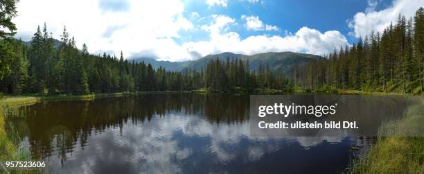 Bergsee Smreczynski Staw, Dolina Koscieliska, Hohe Tatra, Polen