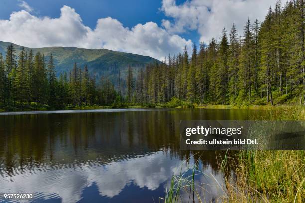 Bergsee Smreczynski Staw, Dolina Koscieliska, Hohe Tatra, Polen