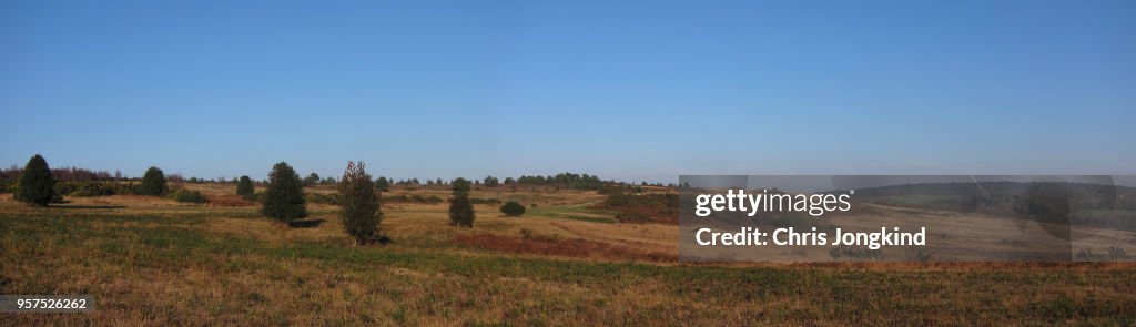 Hilly Scrubland Panorama