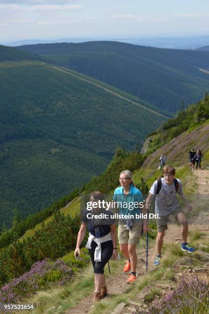 Wanderweg zum Berg Krakonos, Riesengebirge, Tschechien