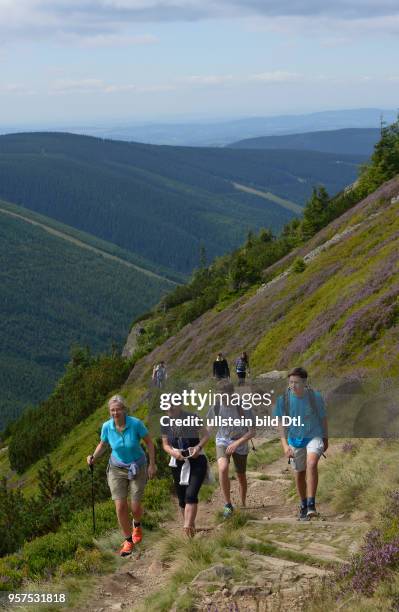 Wanderweg zum Berg Krakonos, Riesengebirge, Tschechien