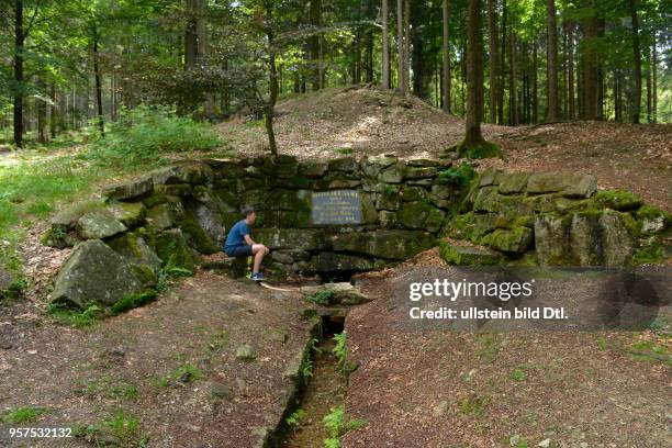 Saalequelle, Fichtelgebirge, Oberfranken, Bayern, Deutschland