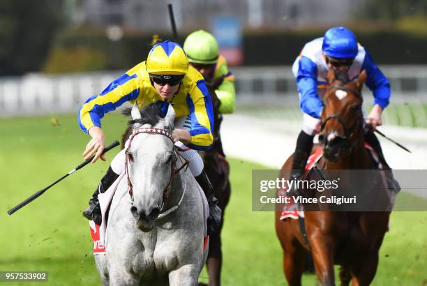 Ethan Brown riding Platinum Angel wins Race 4 during Melbourne Racing at Caulfield Racecourse on May 12, 2018 in Melbourne, Australia.
