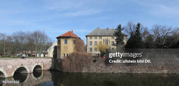 Schloß Ostrau Schloßpark Winterlinge blühen Blüten Frühblüher Frühlingsblüher Blumen Frühling Frühjahr wetter