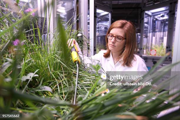 Bad Lauchstädt , Einweihung der zentralen Versuchplattform iDiv-Ecotron des UFZ Helmholtz Zentrum für Umweltforschung Foto: Biologin Tabea Turrini 34