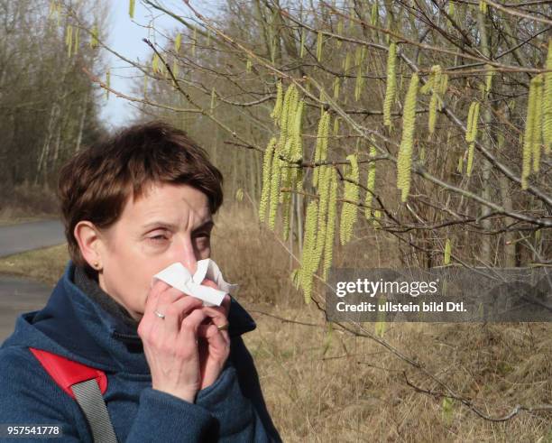 Symbolfoto die Pollen fliegen wieder! Pollenflug Pollenallergie Haselnuss Haselnuß Pollen Heusschnupfen Allergie Allergiker Pollen von Bäumen,...