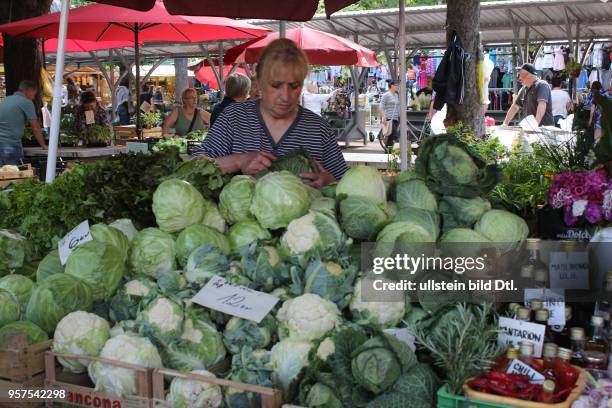 Kroatien Istrien Pula Ansicht Stadtansicht Gemüsemarkt Markt Obst und Gemüse Direkterzeuger