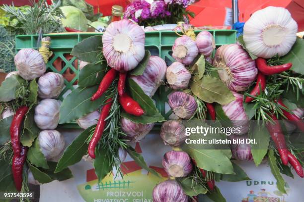 Kroatien Istrien Pula Ansicht Stadtansicht Gemüsemarkt Markt Obst und Gemüse Direkterzeuger Knoblauchzöpfe Knoblauchzopf