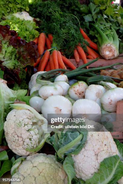 Kroatien Istrien Pula Ansicht Stadtansicht Gemüsemarkt Markt Obst und Gemüse Direkterzeuger Radieschen