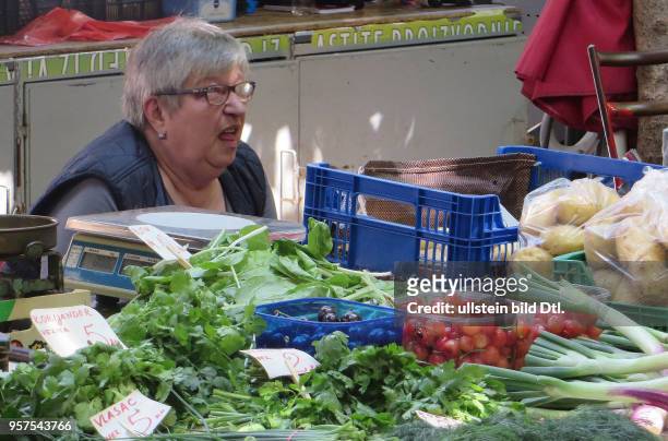 Kroatien Istrien Pula Ansicht Stadtansicht Gemüsemarkt Markt Obst und Gemüse Direkterzeuger Radieschen