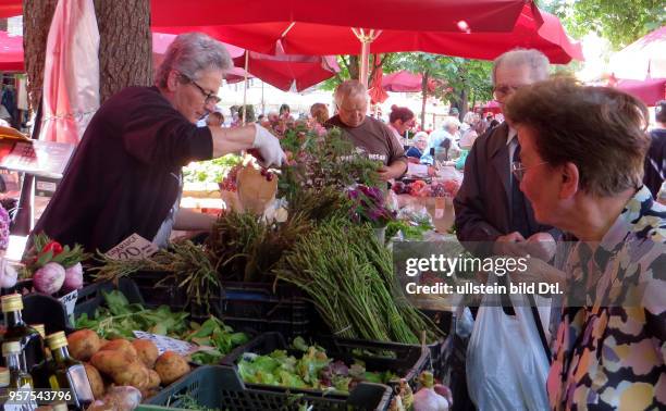 Kroatien Istrien Pula Ansicht Stadtansicht Gemüsemarkt Markt Obst und Gemüse Direkterzeuger Radieschen