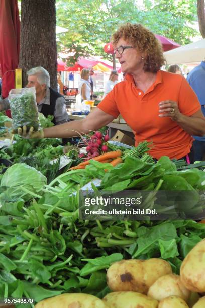 Kroatien Istrien Pula Ansicht Stadtansicht Gemüsemarkt Markt Obst und Gemüse Direkterzeuger Radieschen
