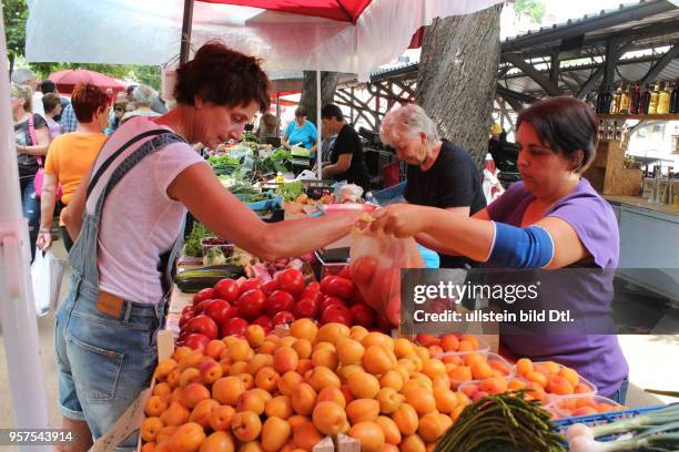 Kroatien Istrien Pula Ansicht Stadtansicht Gemüsemarkt Markt Obst und Gemüse Direkterzeuger