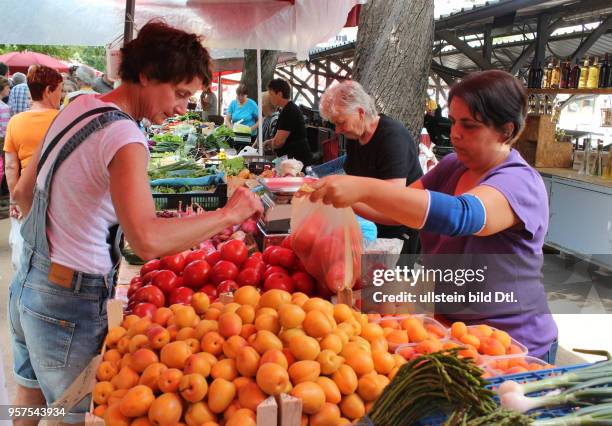 Kroatien Istrien Pula Ansicht Stadtansicht Gemüsemarkt Markt Obst und Gemüse Direkterzeuger