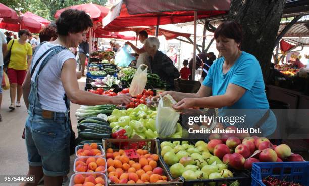 Kroatien Istrien Pula Ansicht Stadtansicht Gemüsemarkt Markt Obst und Gemüse Direkterzeuger