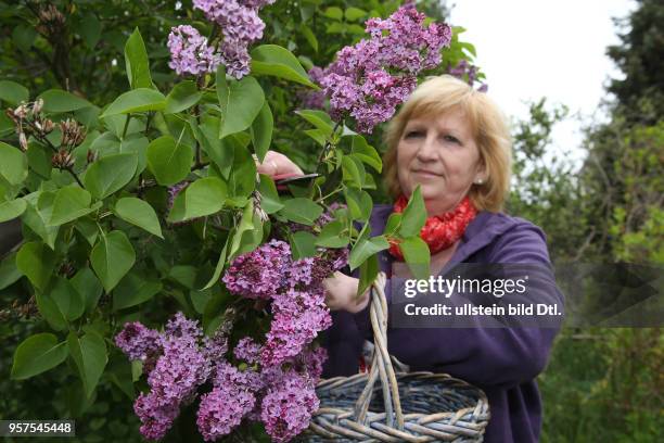 Gabi Schumann 55 aus Schlaitz vom Kräuterhof Sommerwiese macht aus Flieder Fliederblüten schmackhafte Lebensmittel Foto: Gabi Schumann bei der...