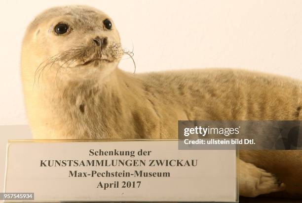 Zoologisches Institut Sitz der Zoologischen Sammlungen der Martin Luther Universität Die Sammlungen erhielten viele Tierpräparate aus der aufgelösten...