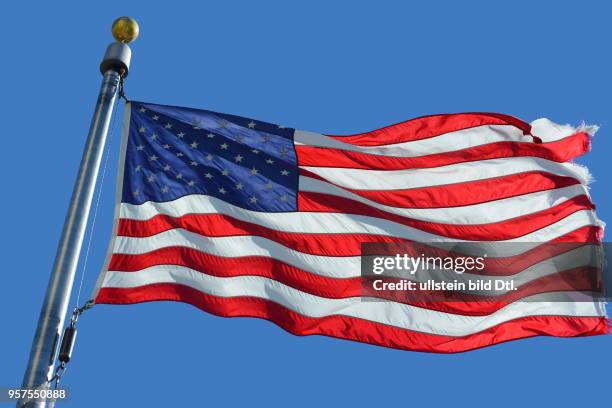 Flaggen am Washington-Monument. Washington, Washington, D.C., USA,