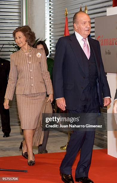 Queen Sofia of Spain and Juan Carlos I attend the inauguration of the 'Vivero industrial de empresas de la camara de comercio' on January 13, 2010 in...