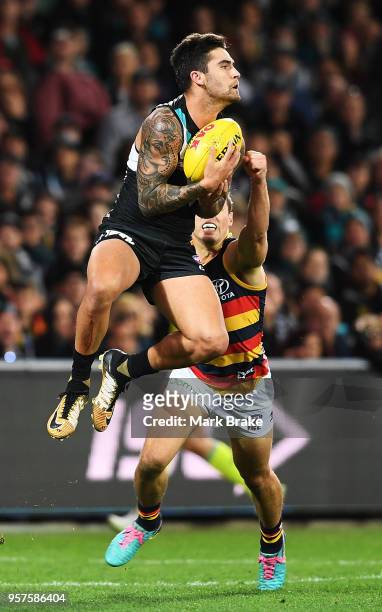 Chad Wingard of Port Adelaide marks during the round eight AFL match between the Port Adelaide Power and the Adelaide Crows at Adelaide Oval on May...