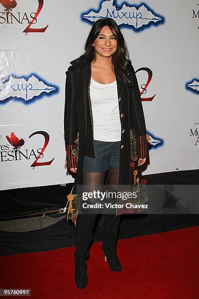 Actress Ana Brenda Contreras attends the "Mujeres Asesinas" Season 2 DVD launch at Plaza Loreto on January 13, 2010 in Mexico City, Mexico.