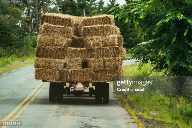 or harvest - bale stock pictures, royalty-free photos & images