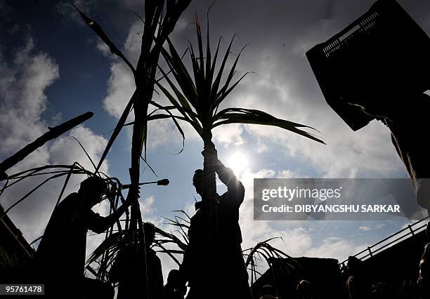 Indian vendors wait for customers as they sit amongst sugarcane, for the celebration of the festival of Pongal, at the main wholesale market in...